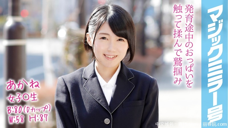 1mmgh00066pl.jpg
